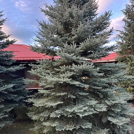 родопска къща Сasa de vacaciones *